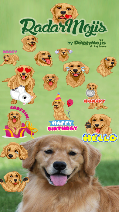 RadarMojis - Golden Retriever screenshot 3