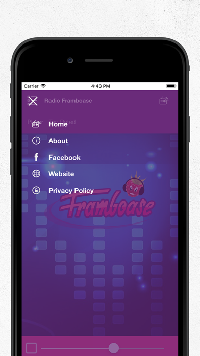 Radio Framboase screenshot 1