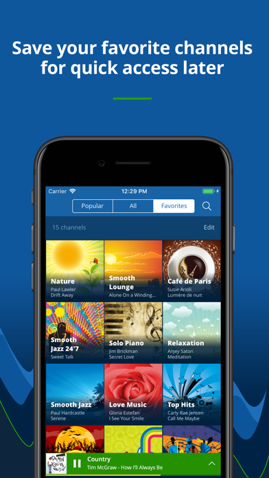 Radio Tunes - great music 24/7 screenshot 2