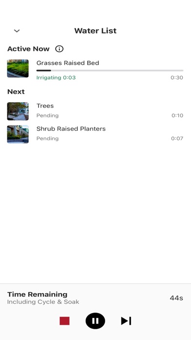 Rain Bird 2.0 screenshot 2
