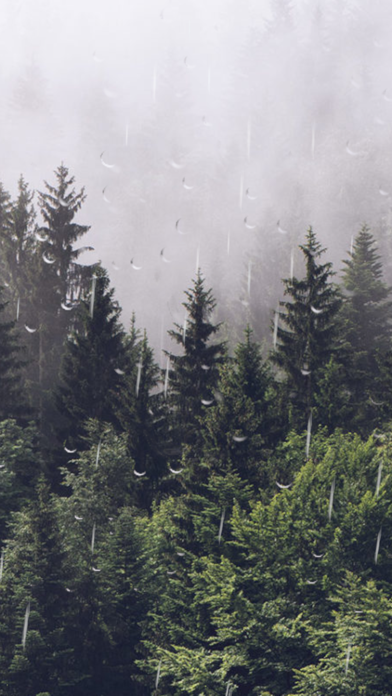 Rain Calm Meditation screenshot 3