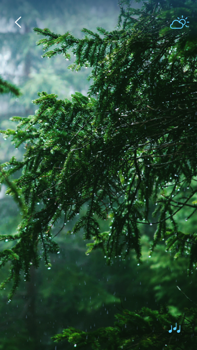 Rain Sounds - Sleep Sounds screenshot 3
