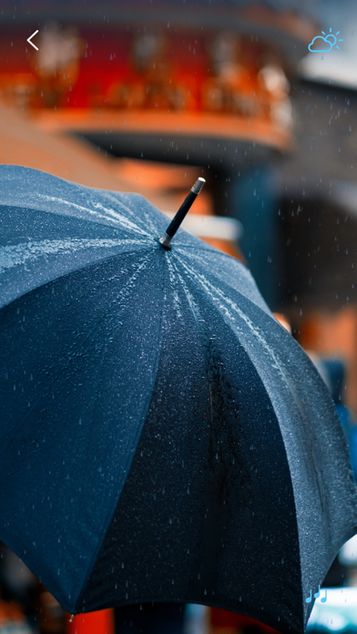 Rain Sounds - Sleep Sounds screenshot 4