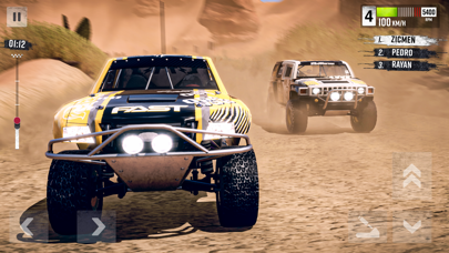 Rally Race: Offroad screenshot 1