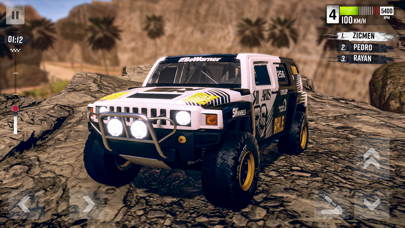 Rally Race: Offroad screenshot 3