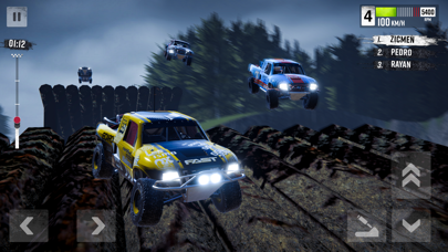 Rally Race: Offroad screenshot 5
