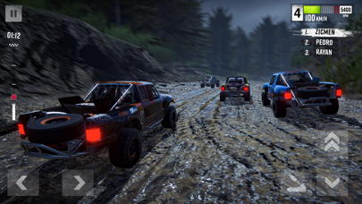 Rally Race: Offroad screenshot 2