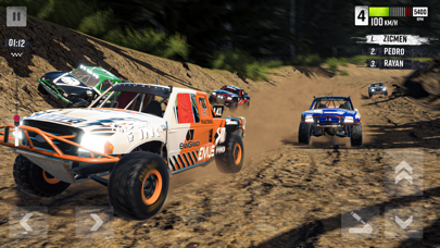 Rally Race: Offroad screenshot 4