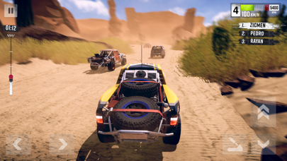 Rally Race: Offroad screenshot 6