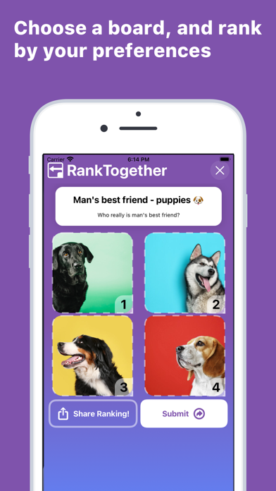 RankTogether screenshot 7