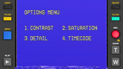 Rarevision VHS: Retro Cam screenshot 2
