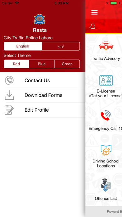 Rasta Traffic screenshot 4