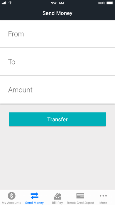 Rave Financial screenshot 4