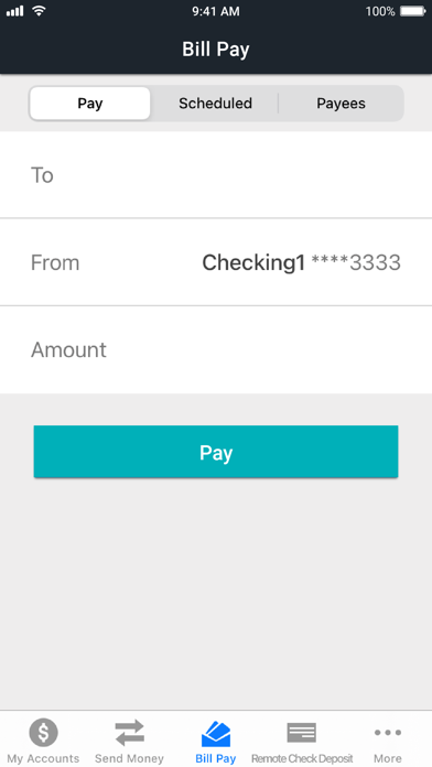 Rave Financial screenshot 3