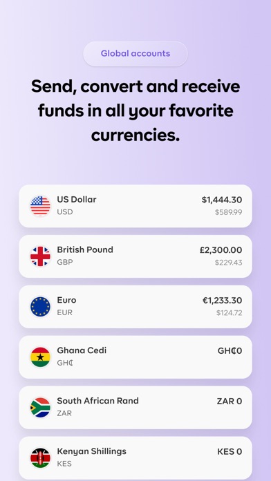 Raven: Fastest Payments screenshot 3