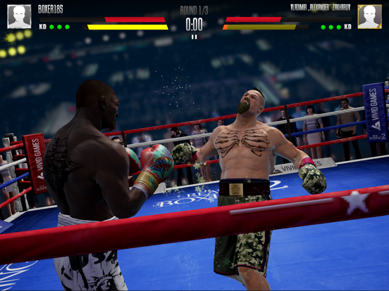 Real Boxing 2 screenshot 1