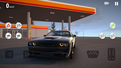 Real Driving School screenshot 3