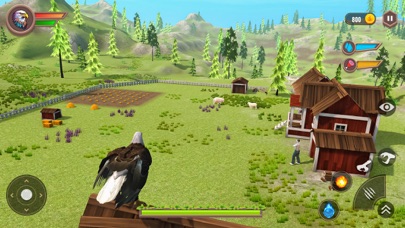 Real Eagle Simulator Bird Game screenshot 3