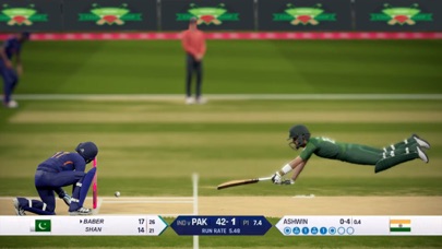 Real World Cricket Game League screenshot 4