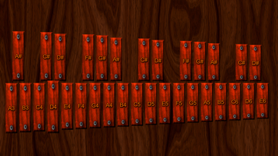 Real Xylophone - Learn & Play screenshot 2