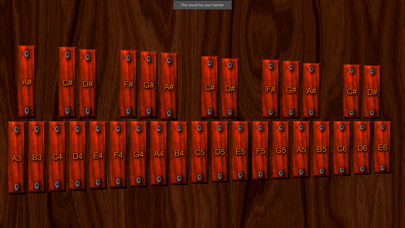 Real Xylophone - Learn & Play screenshot 1