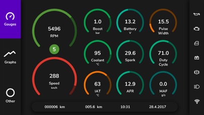 RealDash screenshot 3