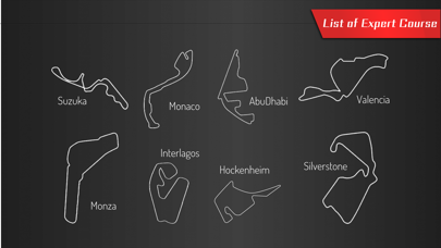 RealEngineSim screenshot 1