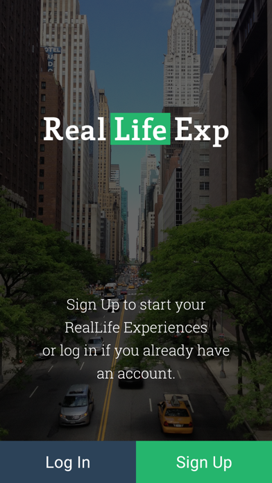 RealLife Exp screenshot 5