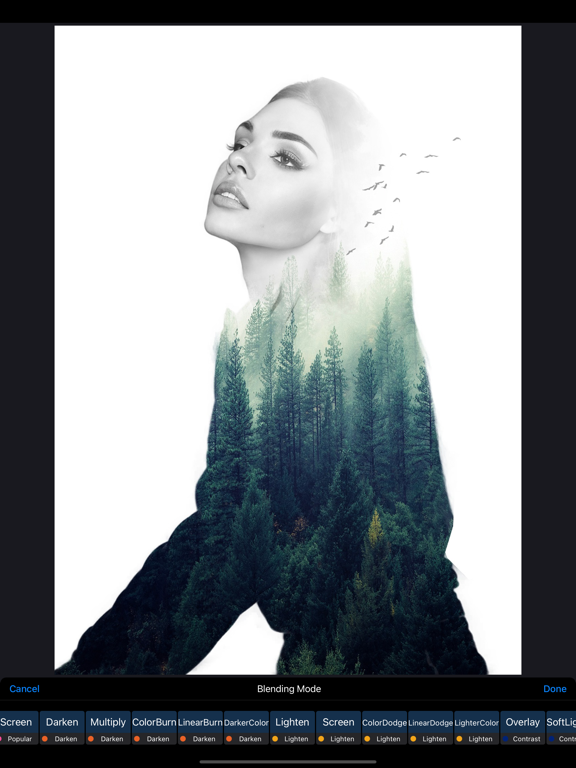 ReColor - Art Photo Editor screenshot 2