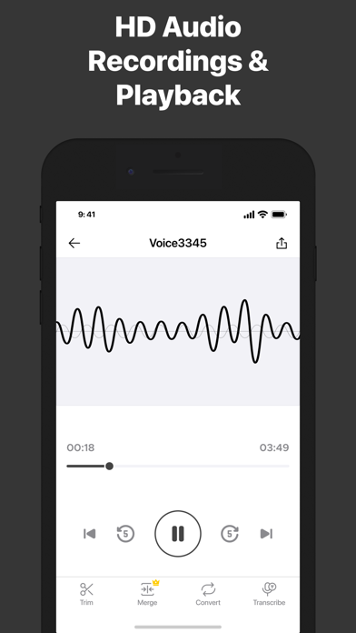 Recorder for iPhone screenshot 2