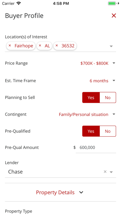 RED CRM screenshot 2