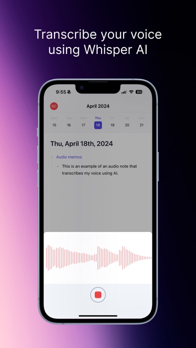Reflect Notes screenshot 2
