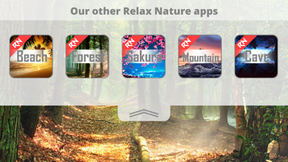 Relax Nature: Forest screenshot 1