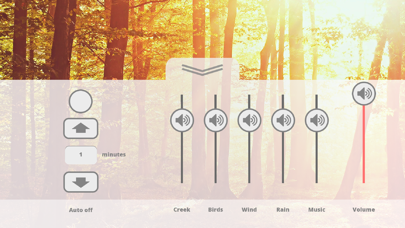 Relax Nature: Forest screenshot 2