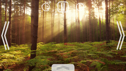 Relax Nature: Forest screenshot 3