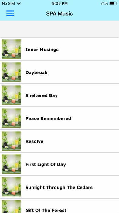 Relaxing Music Collection screenshot 3