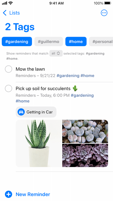 Reminders screenshot 6