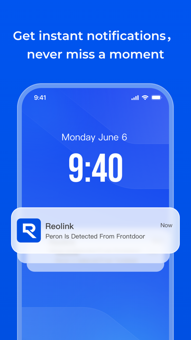 Reolink screenshot 4