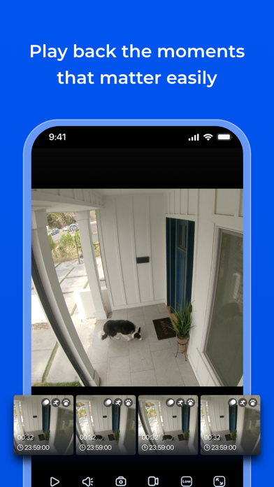 Reolink screenshot 2