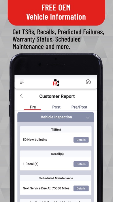 RepairSolutionsPRO screenshot 1