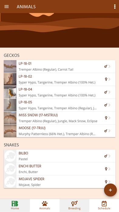 Reptile Buddy screenshot 3