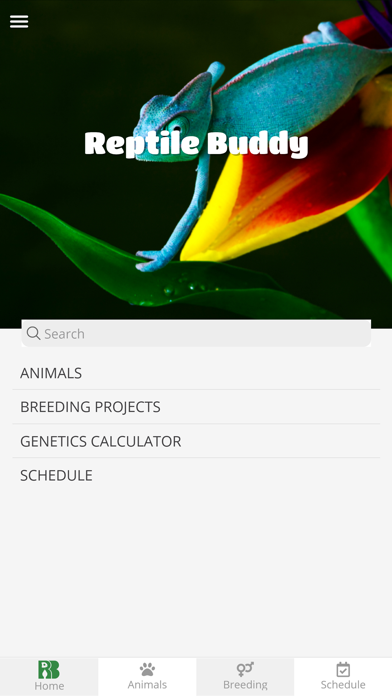 Reptile Buddy screenshot 4