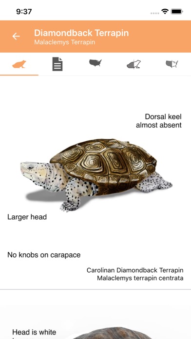 Reptiles & Amphibians of NA screenshot 1