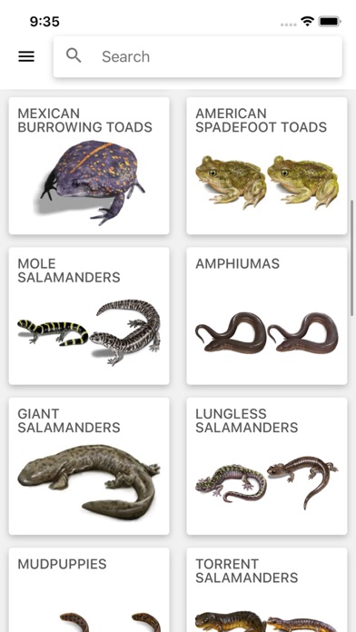 Reptiles & Amphibians of NA screenshot 3