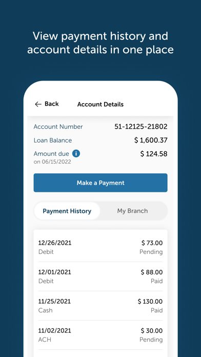 Republic Finance screenshot 5