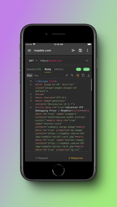 Reqable screenshot 6