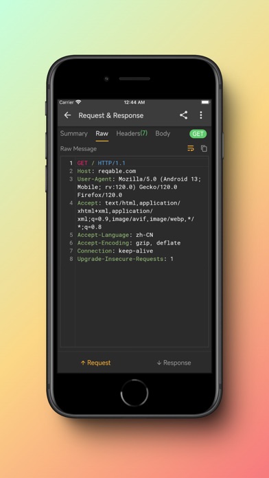 Reqable screenshot 2