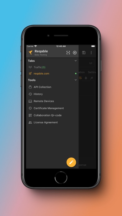 Reqable screenshot 3