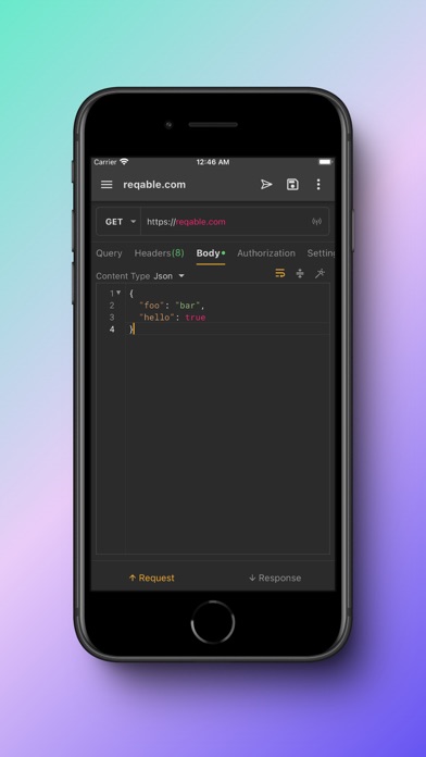 Reqable screenshot 1