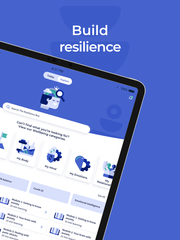 Resilience Box screenshot 9